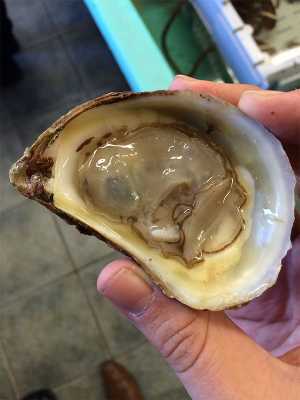 An oyster from Lobster on the Wharf