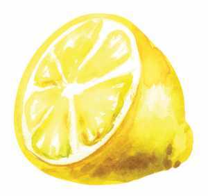 The history of the caesar cocktail | Half of a lemon