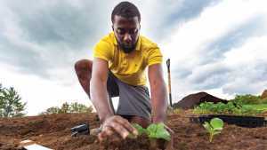 The future of farming is BIPOC | Soniel Gordon set up Sunny Boy Farms in Pickering