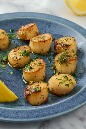 10 local Toronto items | Scallops from Larry's Catch seafood subscription service