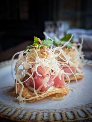 The Berczy Tavern | Tuna tostadas at The Berczy Tavern The Berczy Tavern | Tuna tostadas at The Berczy Tavern