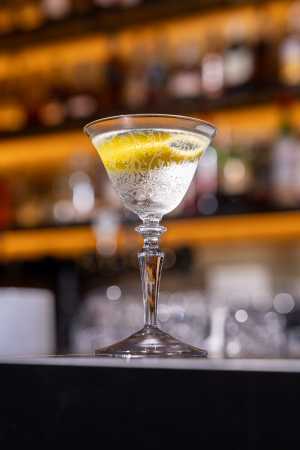 The Berczy Tavern | A martini at The Berczy Tavern The Berczy Tavern | A martini at The Berczy Tavern