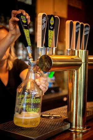 Drink ON Cider | A bartender pours a growler at Sprit Tree Drink ON Cider | A bartender pours a growler at Sprit Tree