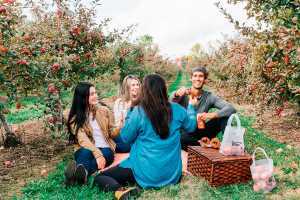 Drink ON Cider | Four friends enjoy a picnic among the apple orchards at Brantview Apples and Cider