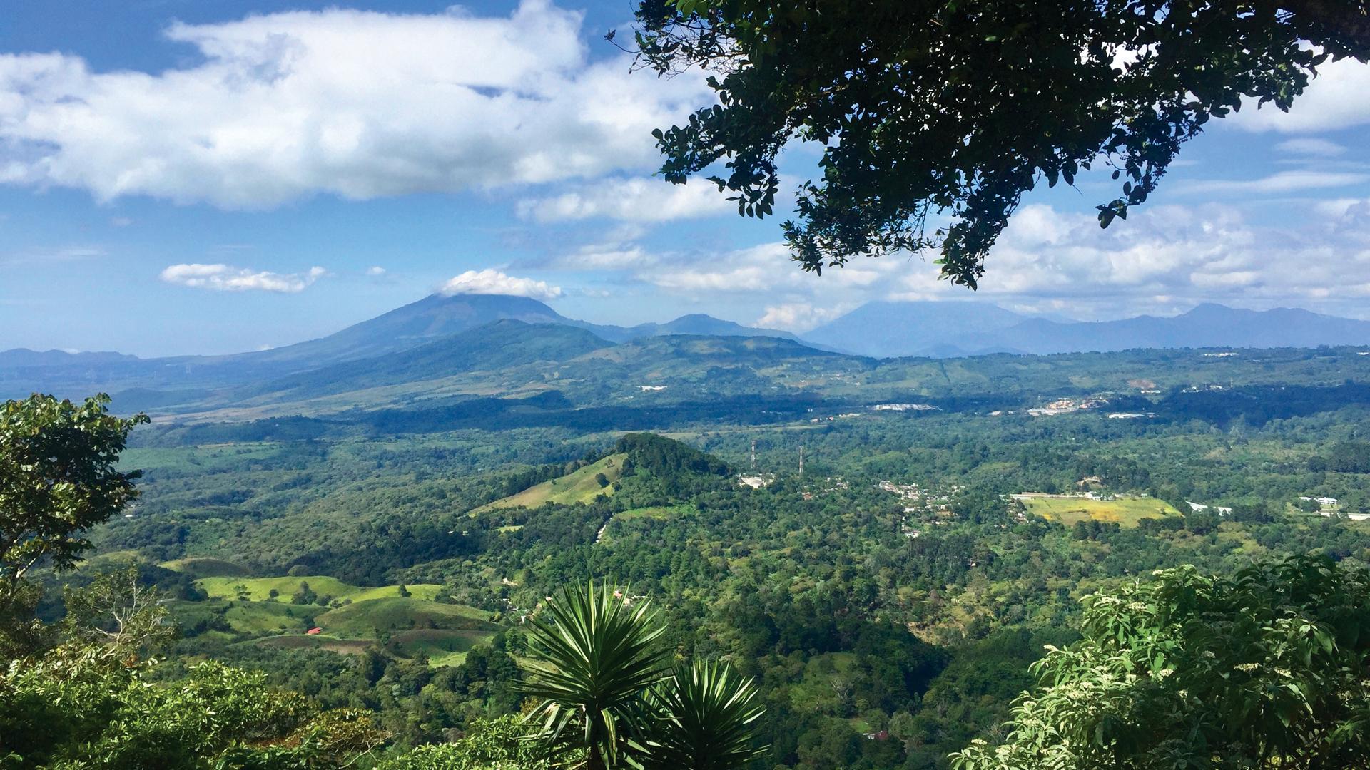 Guatemala coffee Guatemala coffee