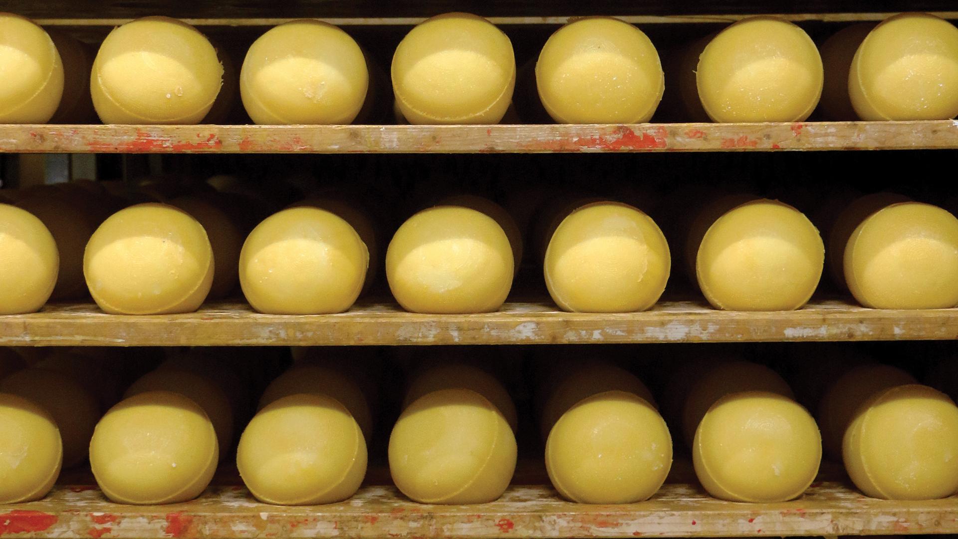 Cheese from the Azores, Portugal Cheese from the Azores, Portugal