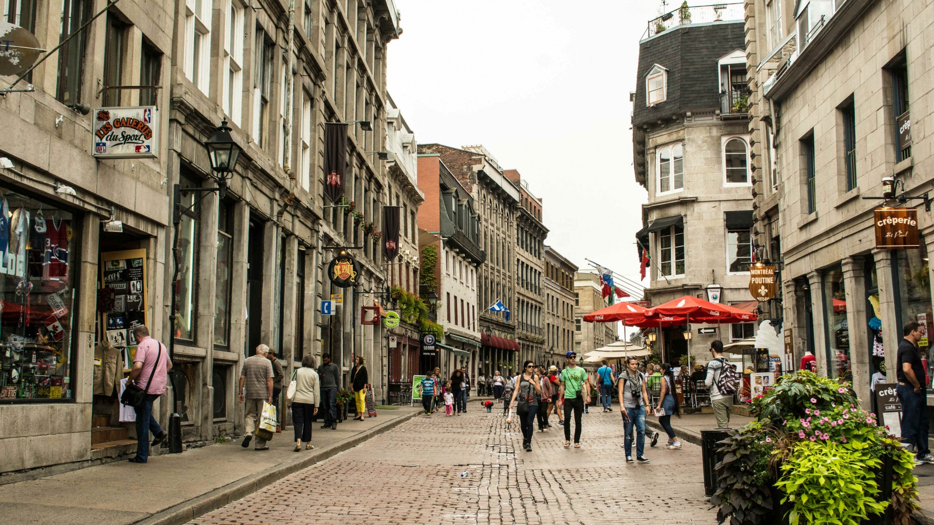 Vive Montreal Vive Montreal