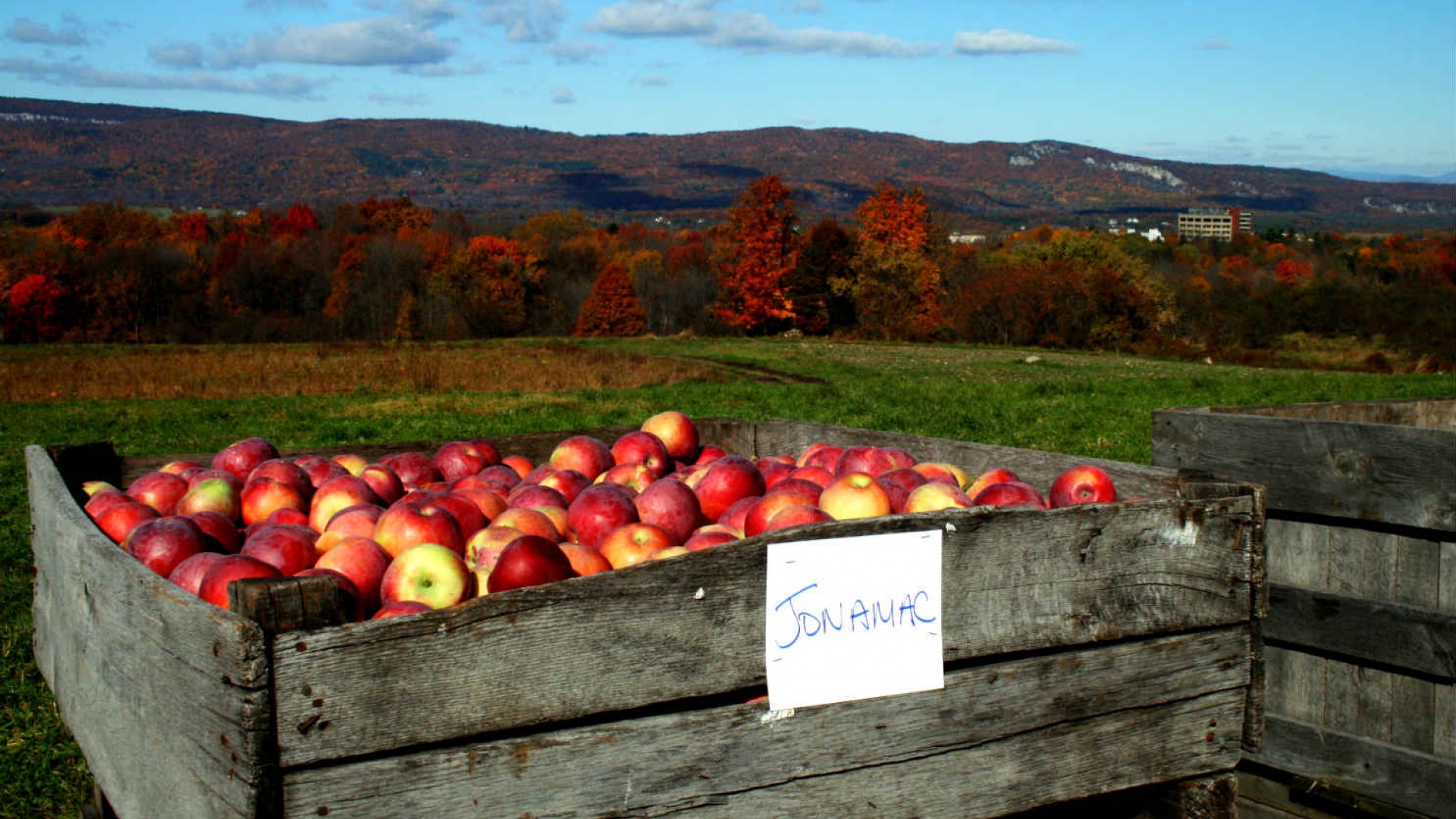 Top Six in the 6: Farm Experiences Top Six in the 6: Farm Experiences