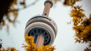 Things to do in Toronto this October | The CN Tower surrounded by autumn leaves