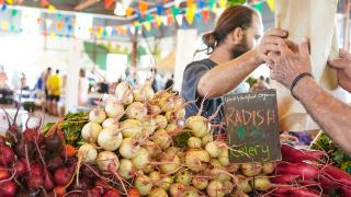 The freshest farmers’ markets in Toronto | Radishes and other fresh produce at the Brickworks Farmers' Market