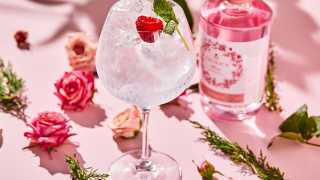 Easy and delicious mocktail recipes | Ceder's Rose & Tonic mocktail recipe
