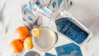 Gin cocktails and their recipes | Glorious Fairview gin cocktail recipe
