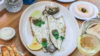 Toronto's best Greek restaurants | Whole grilled fish at Mamakas
