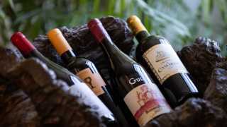 Gargoyle Wine Club wines