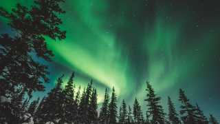 Visit Churchill Manitoba | The Northern Lights over treetops