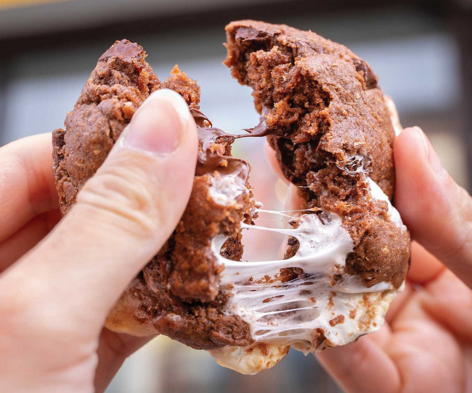 Toronto's best cookies: The Night Baker's campfire smores