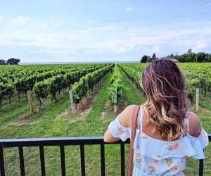 Niagara Wineries | Woman overlooking vineyard and Lake Ontario at Konzelmann Estates