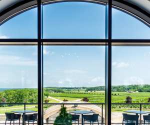 Niagara Wineries | View from large second floor window of beautiful Megalomaniac's restaurant