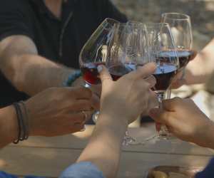 Wines of Greece | A group raise a toast with glasses of red wine