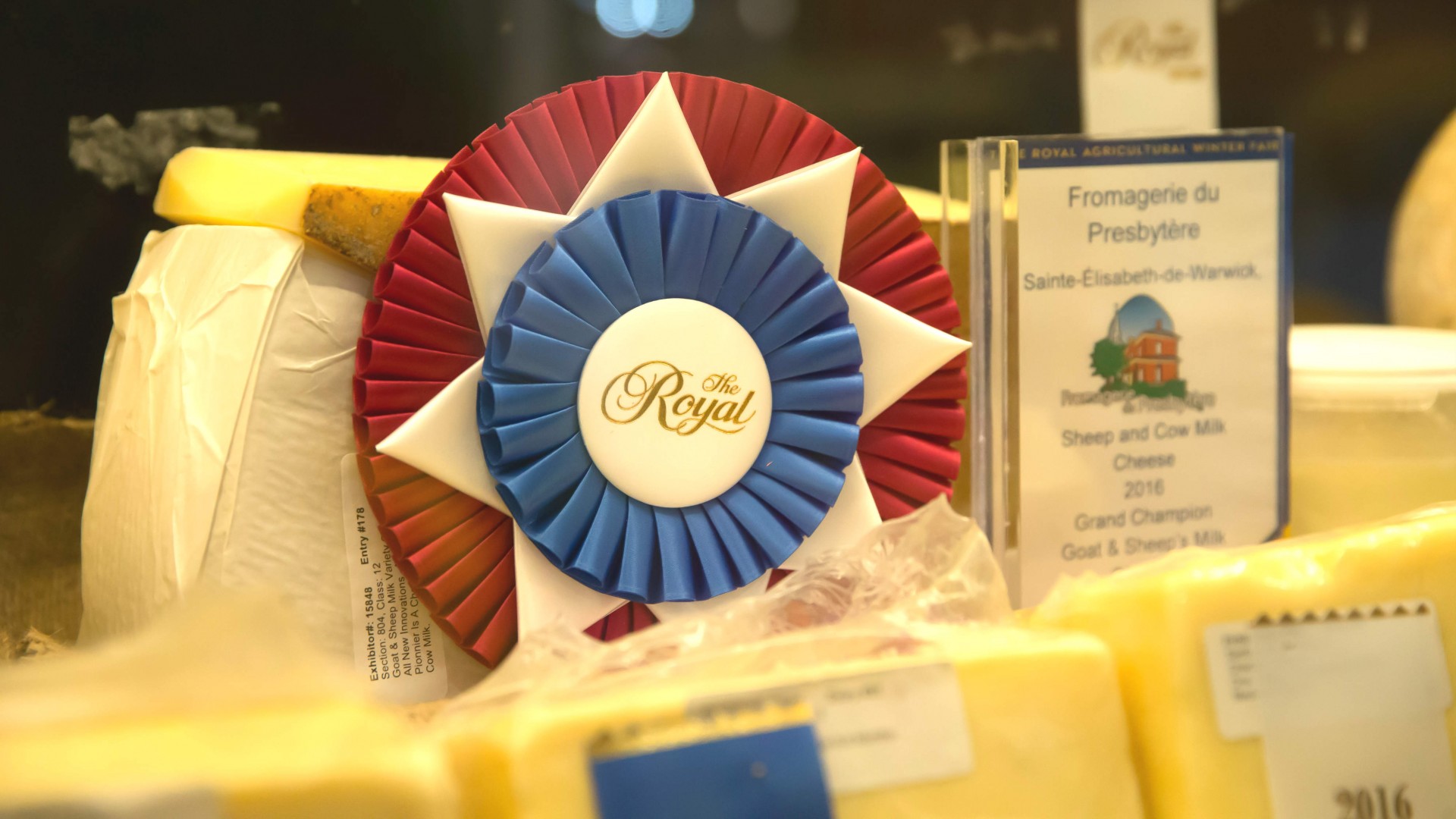 Royal Agricultural Winter Fair Champions Day Royal Agricultural Winter Fair Champions Day