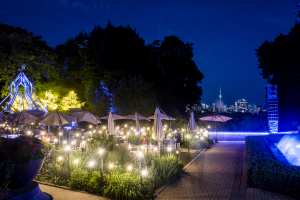Best patios in Toronto | A view of Toronto from The Gardens at Casa Loma at night