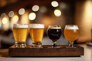 Toronto breweries | A lineup of draft beer at Folly