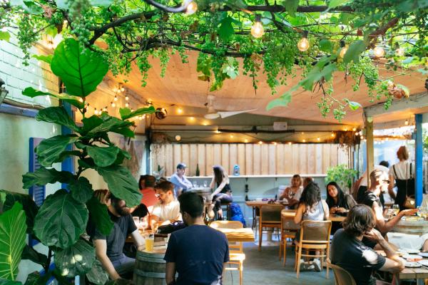 Best wine bars in Toronto | The patio at Paradise Grapevine on Bloor