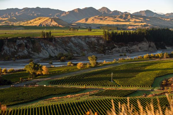 New Zealand's Marlborough terroir where Villa Maria's wine grapes are grown