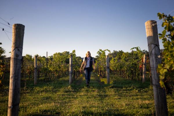 Ontario Wine Awards | Someone walking through the Domaine Queylus vineyard