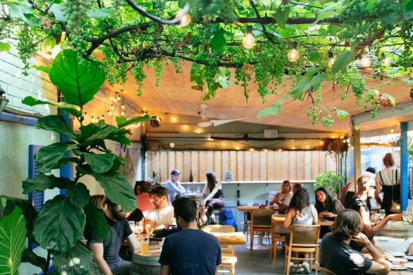 Toronto bottle shops and alcohol stores | The patio at Paradise Grapevine at Bloor and Ossington in Toronto