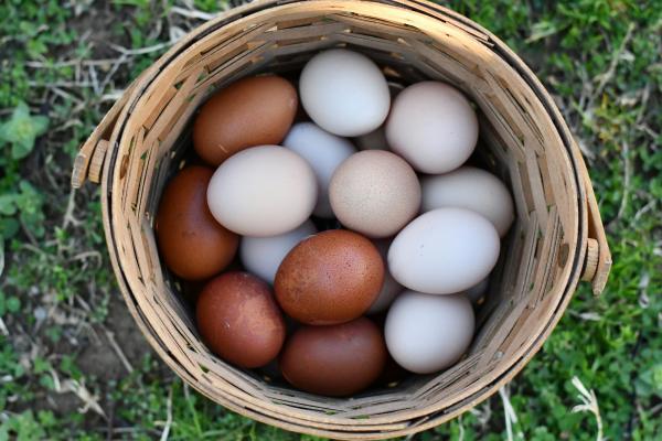 White vs brown eggs | White and brown eggs in a basket