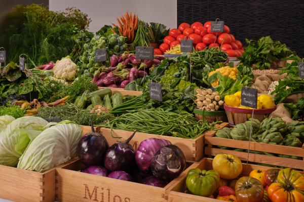 Estiatorio Milos Toronto | The marketplace at Milos Toronto, where produce and fish is displayed for customers