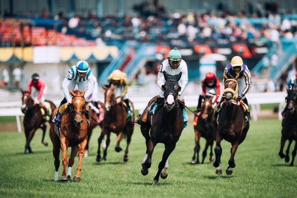Horse racing at Woodbine Racetrack in Etobicoke