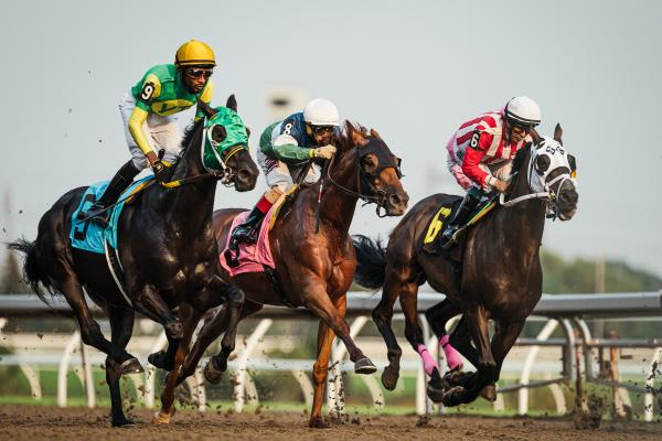 Horses racing at Woodbine Racetrack in Etobicoke