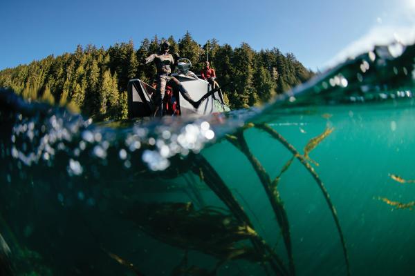 Seaweed benefits | Diving for seaweed at Nimmo Bay Wilderness Resort