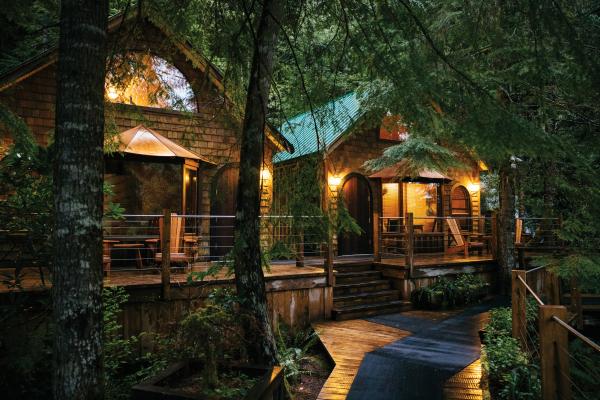 Seaweed benefits | Nimmo Bay Wilderness Resort in Canada’s Great Bear Rainforest
