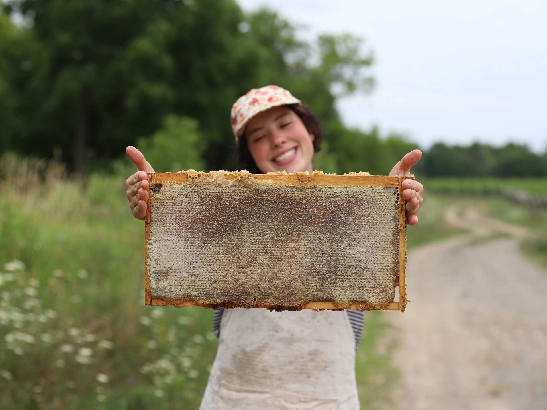 Honey and honeycomb | Kat's honey harvest