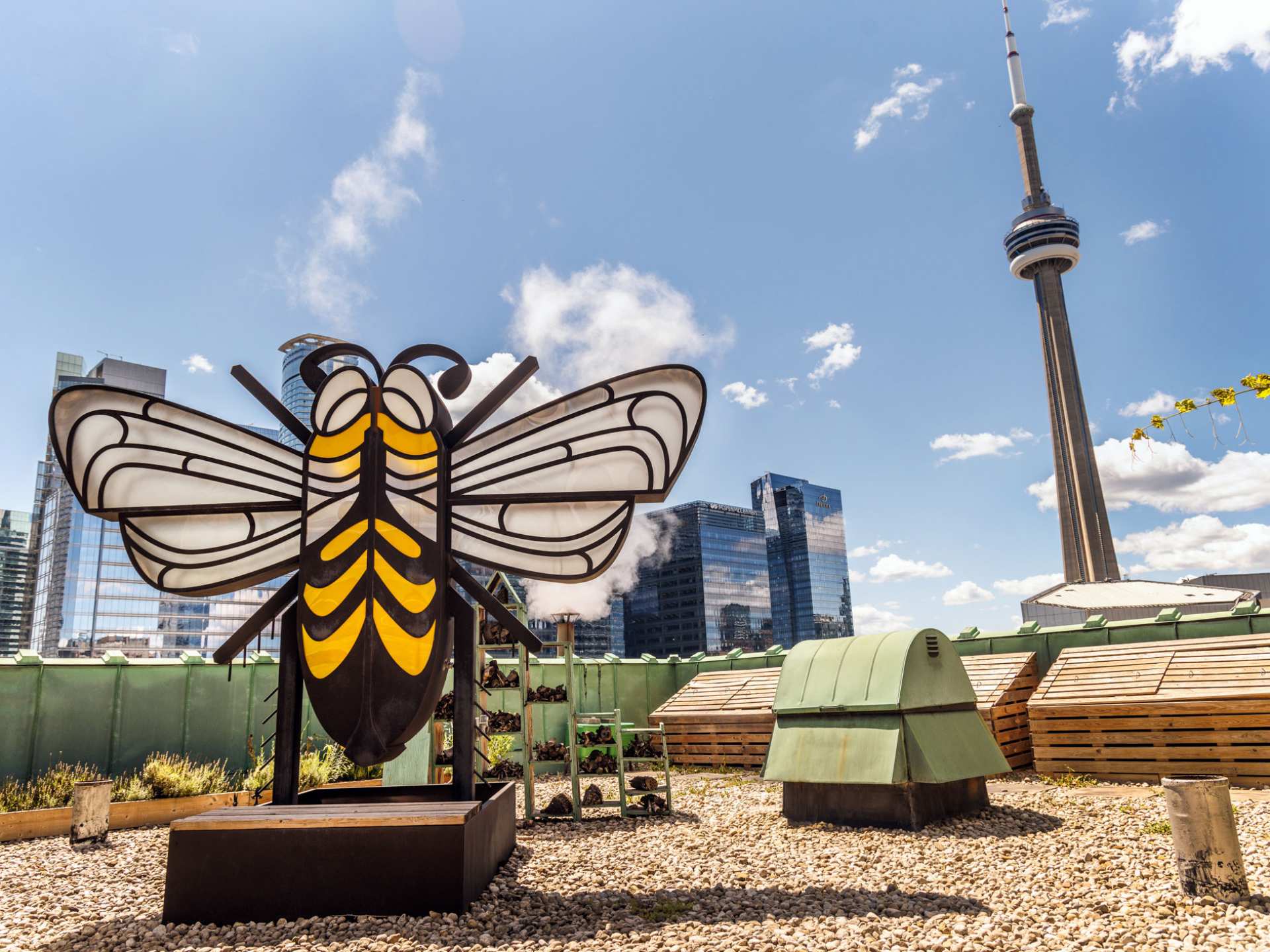 Honey and honeycomb | The rooftop apiary at Fairmont Royal York