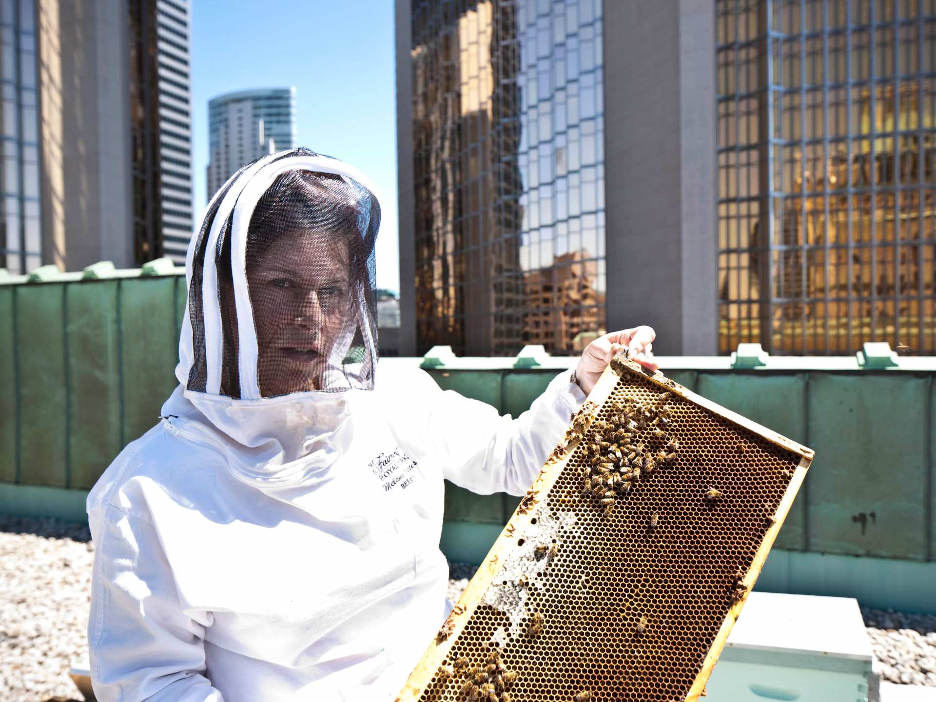 Honey and honeycomb | Melanie Coates harvesting honey