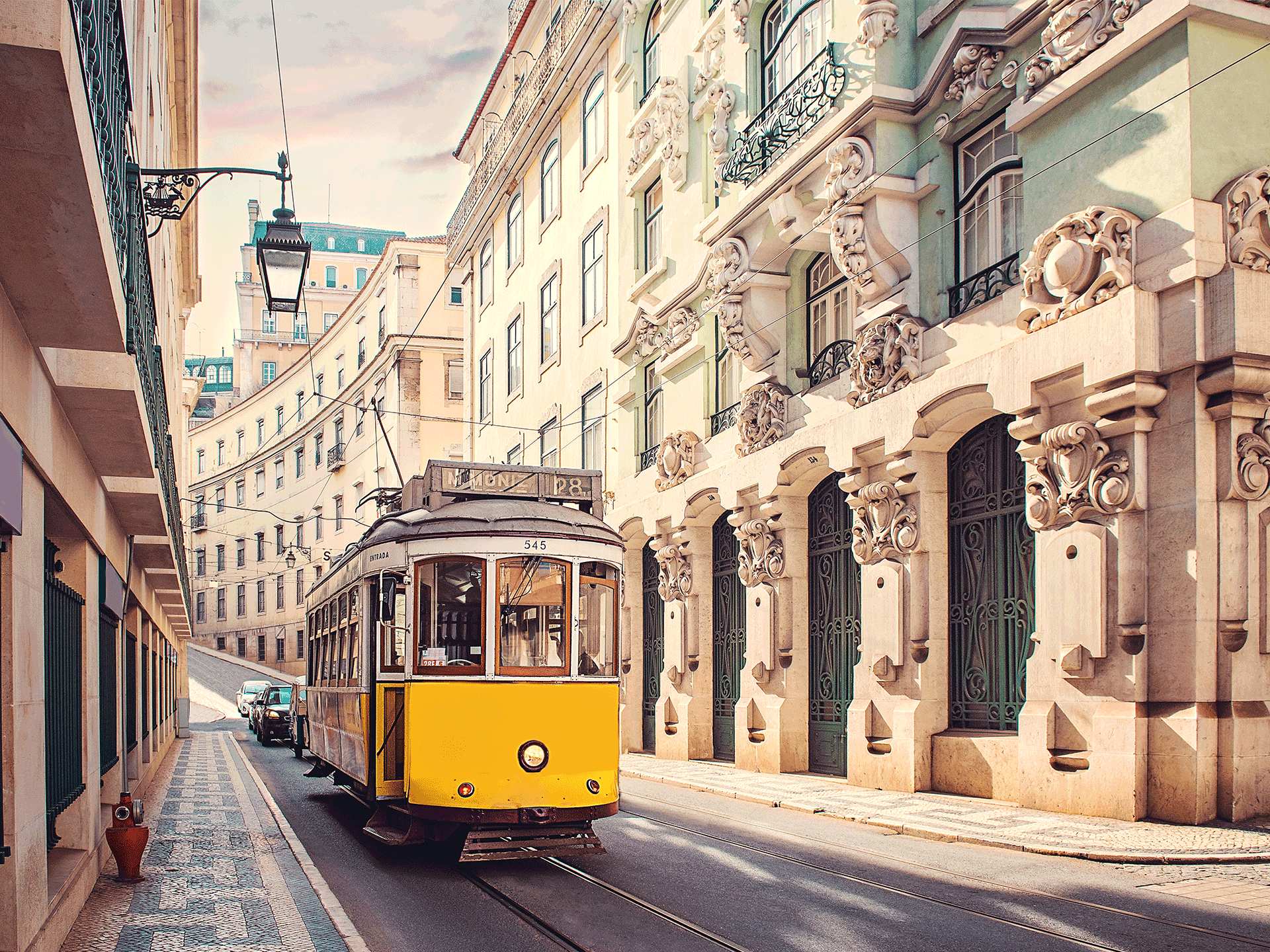 Wines from Portugal | Tram in Lisboa