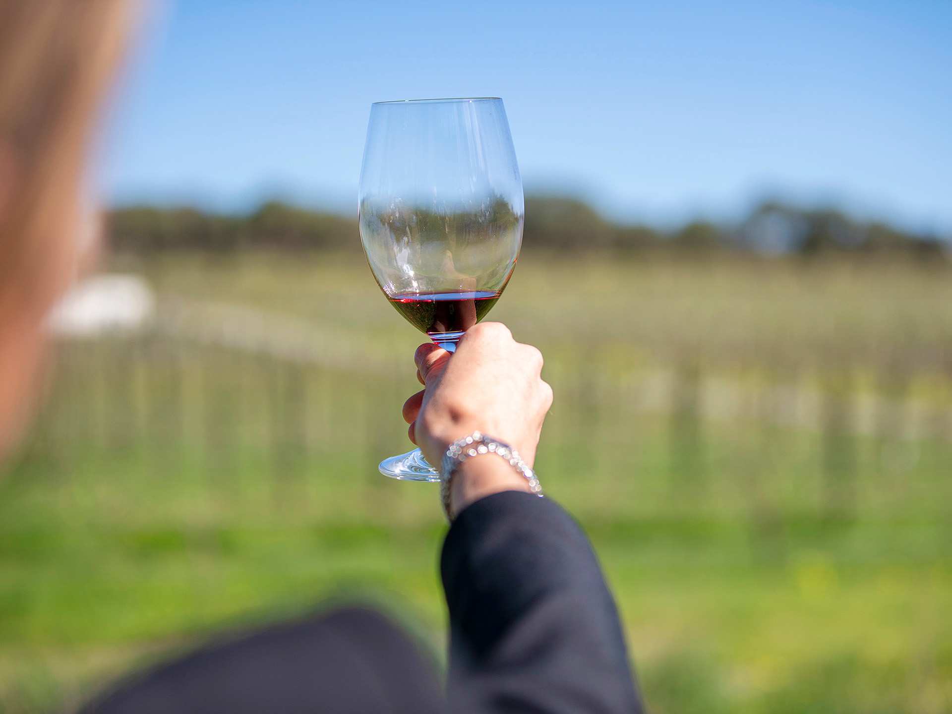 Angove wine | A person holding a glass of Angove wine