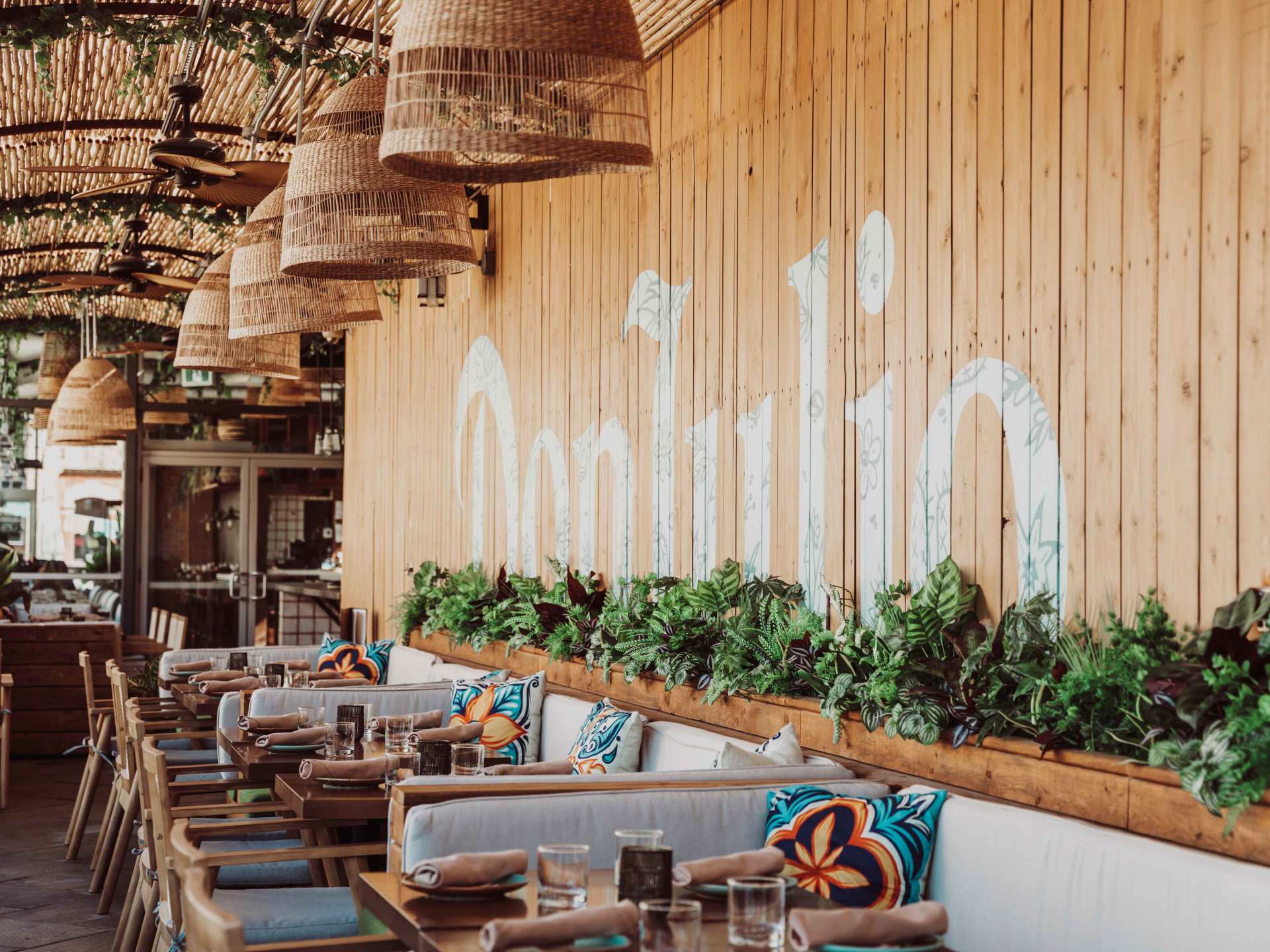 Late night food in Toronto | The rooftop at Baro with palm trees and chairs