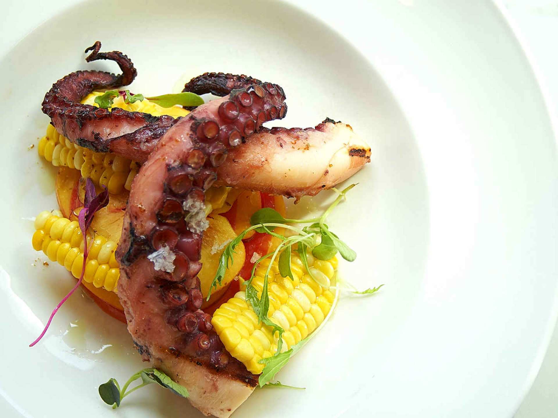 Best breweries in Toronto | Octopus and corn on a plate at Northern Maverick Brewing