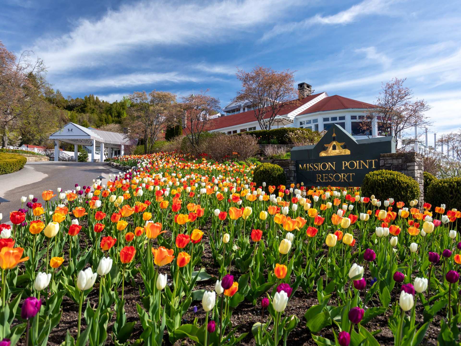 Mission Point resort | The tulips at Mission Point resort on Mackinac Island
