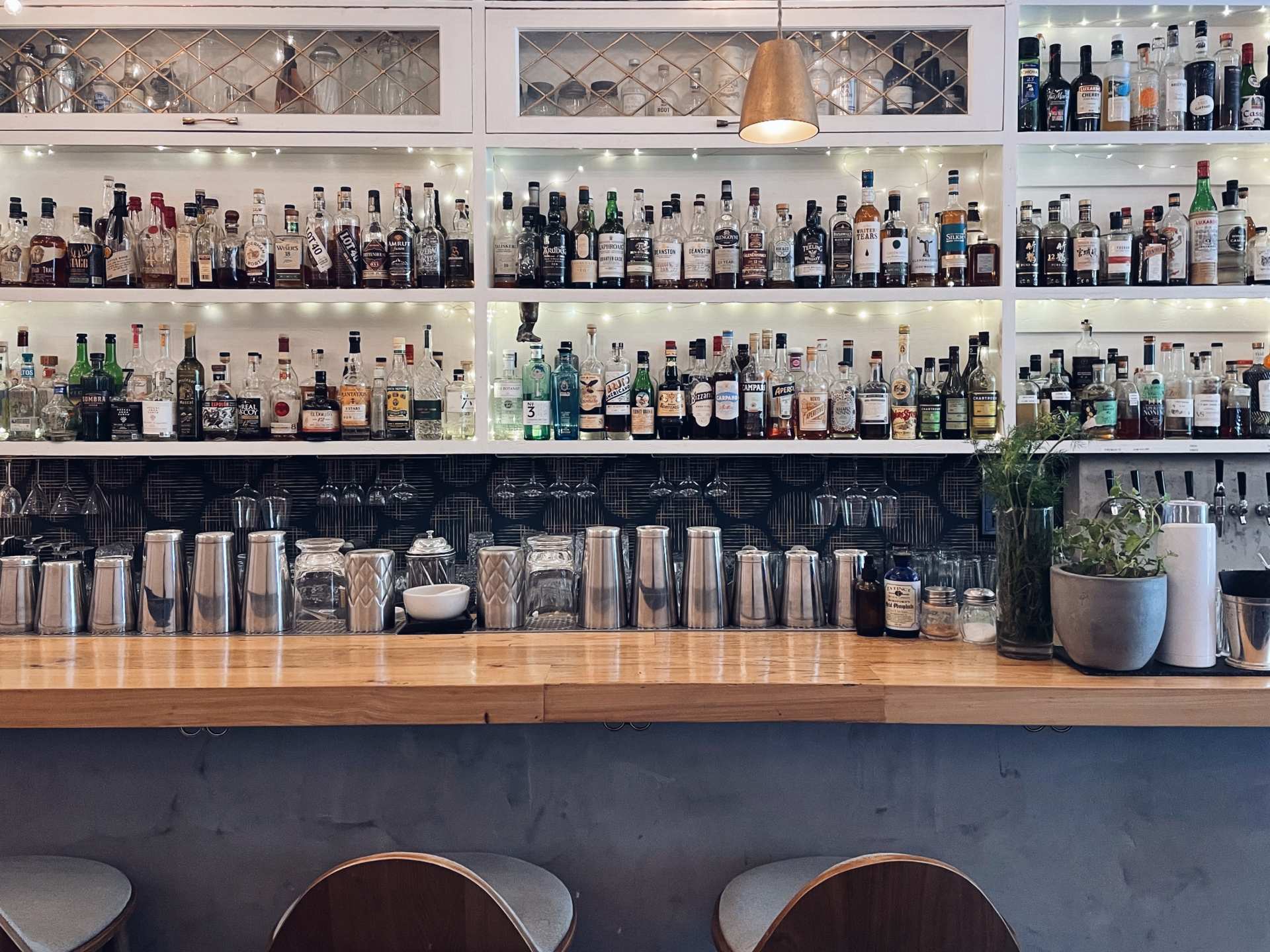 Best cocktail bars in Toronto | The back bar inside Grey Tiger