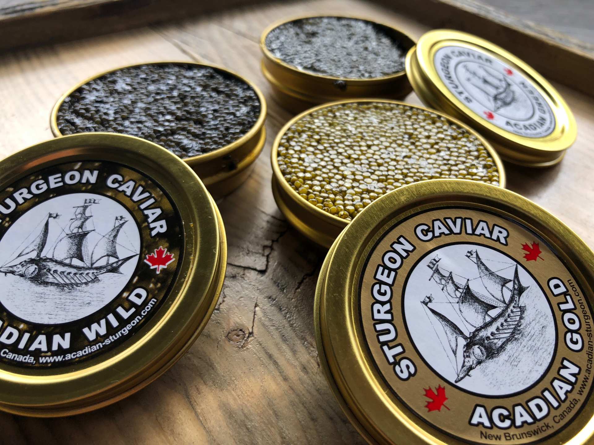 Caviar from Acadian Sturgeon and Caviar Inc.