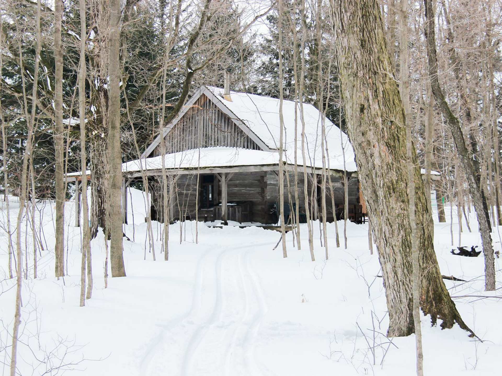 Rural Route Tour Co. maple syrup farm tour | Elliott Tree Farm's sugar shack in the snowy forest