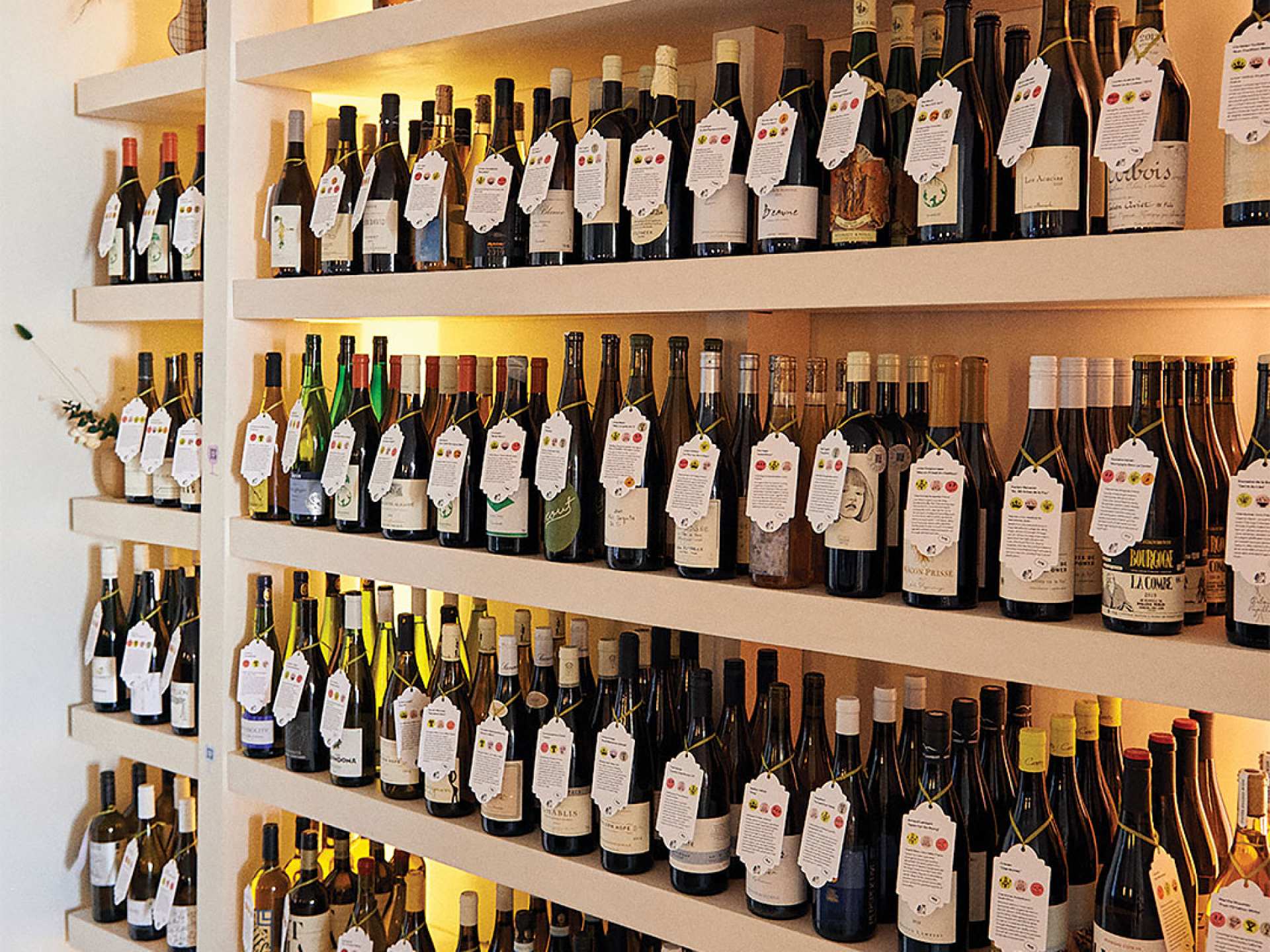 Best wine bars Toronto | A shelf of wine at Grape Witches on Dundas West