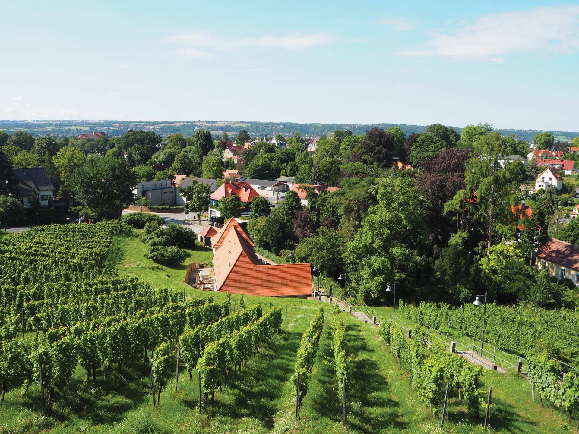 Saxony, Germany | Hoflößnitz Winery’s vertical vineyards