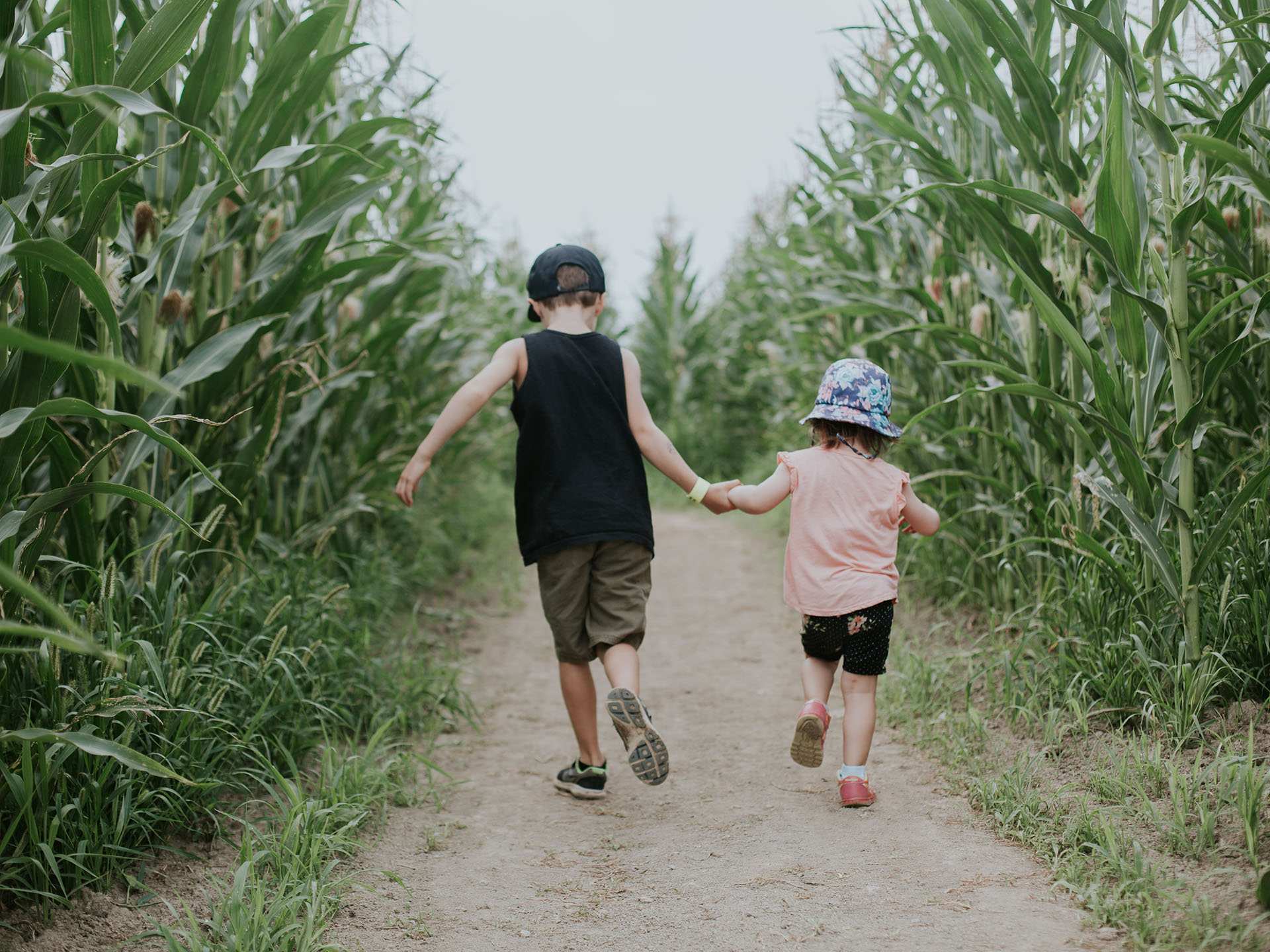 Two kids exploring a corn maze